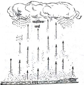 convectional vahanik rainfall 297x300 - वर्षा के Types, Reasons, Measurement और Distribution