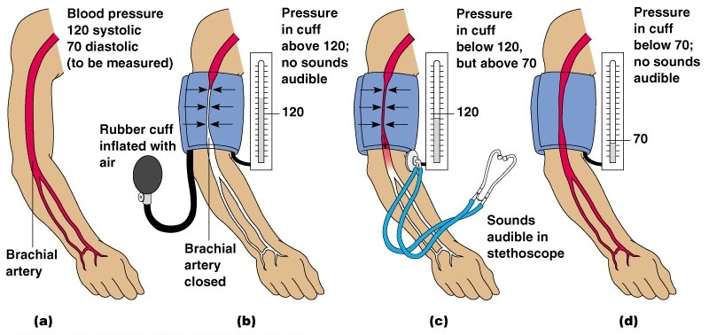 How Blood Pressure is Measured - ब्लड प्रेशर क्या होता है