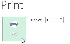 print active button - एमएस एक्सेल में विभिन्न विकल्पों के साथ वर्कबुक कैसे प्रिंट करें