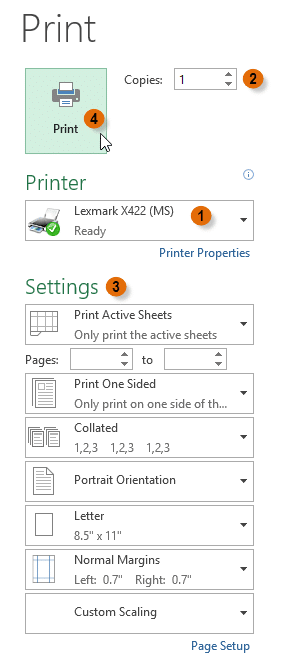 print steps - एमएस एक्सेल में विभिन्न विकल्पों के साथ वर्कबुक कैसे प्रिंट करें