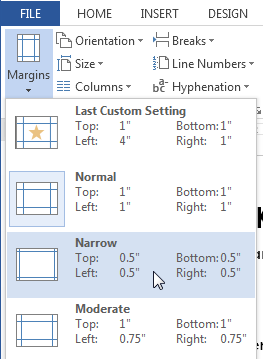 types margin - How to Use Page Setup option in MS Word