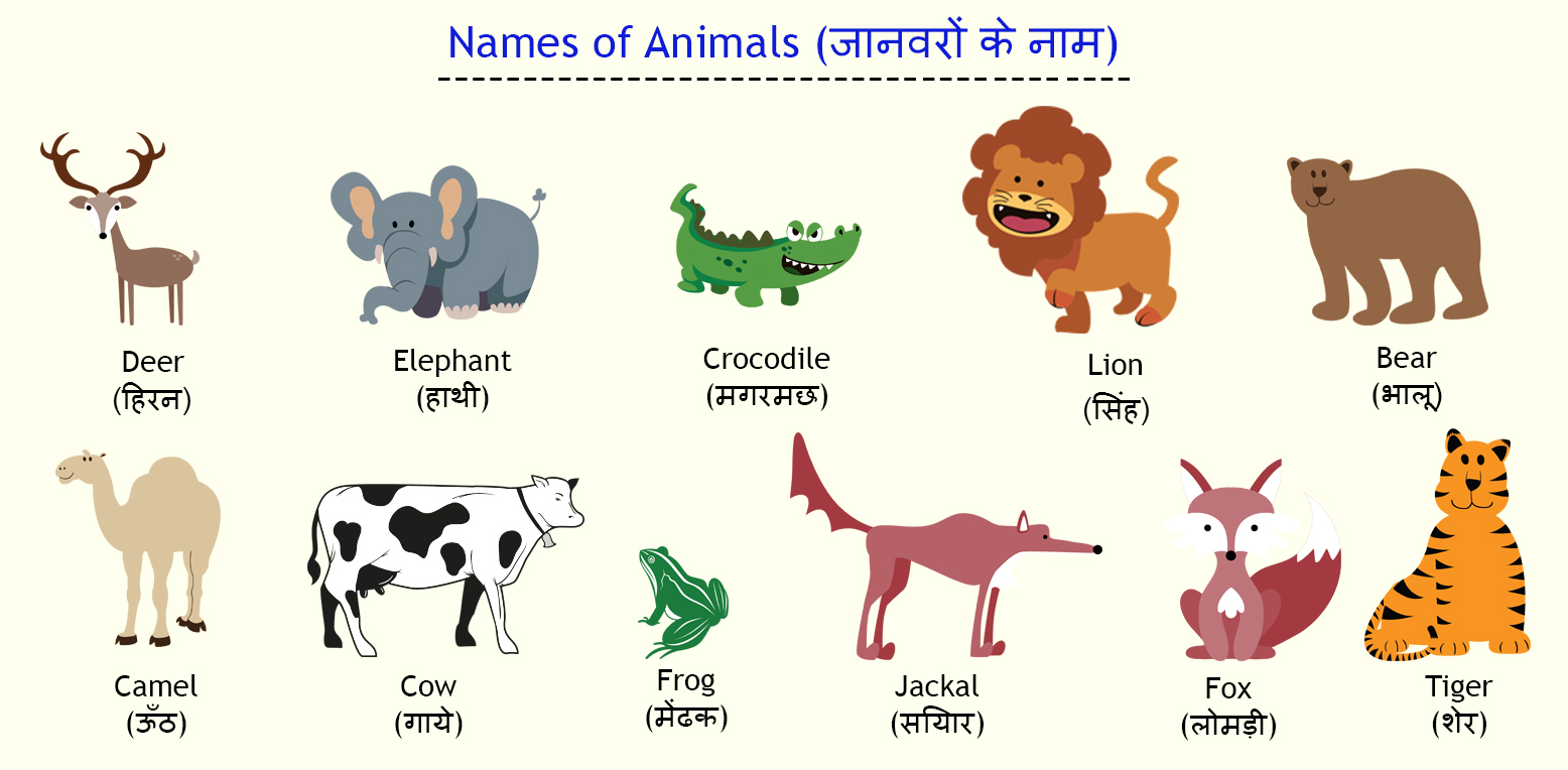 जानवरों के नाम हिन्‍दी और अंग्रेजी में | Web Collection