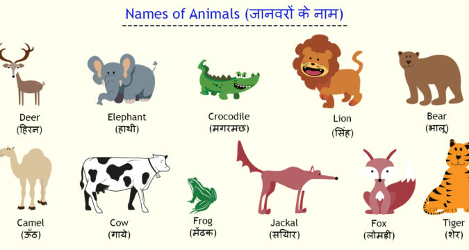 जानवरों के नाम