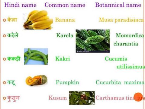 विभिन्न पादपों के वानस्पतिक नाम