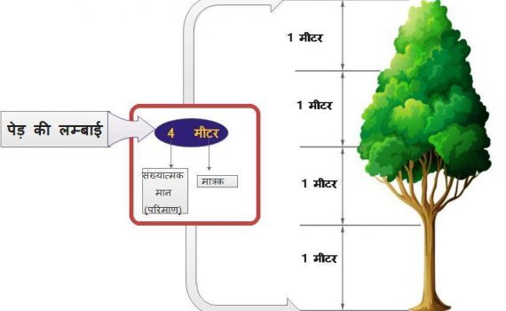 Excret Sys Hum 570x350 - भोतिक राशिया ( Physical quantities )