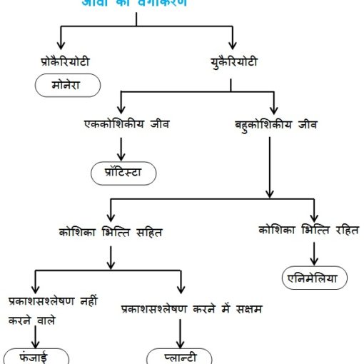 जीवधारियों का वर्गीकरण