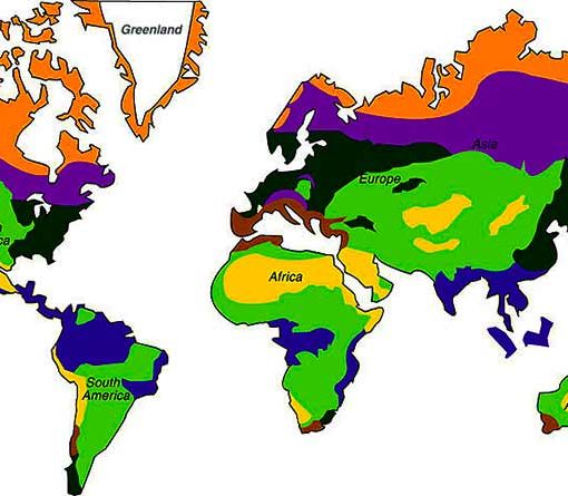 विश्व के पठारों का वर्गीकरण