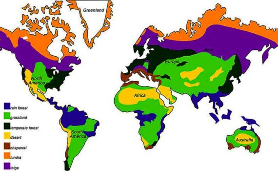 विश्व के पठारों का वर्गीकरण