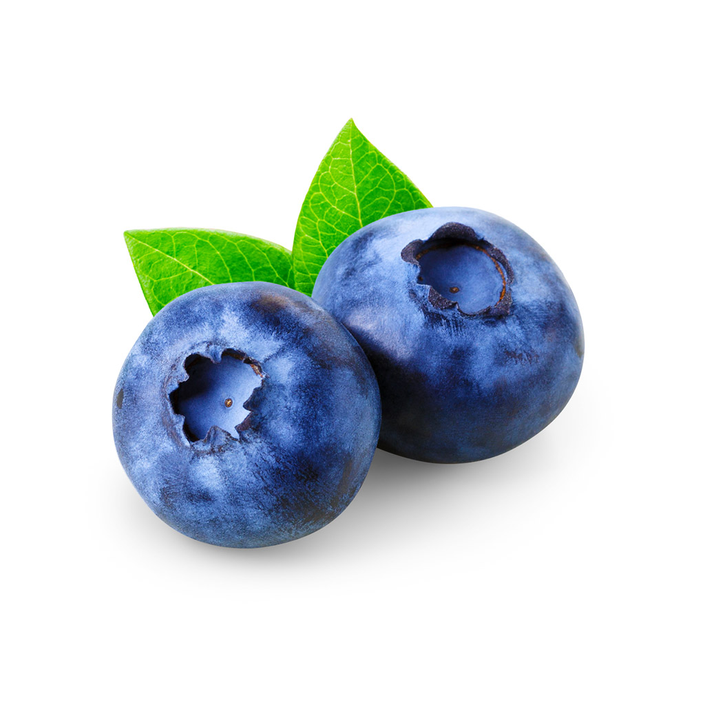 Blueberry - फलों के नाम हिंदी और इंग्लिश में