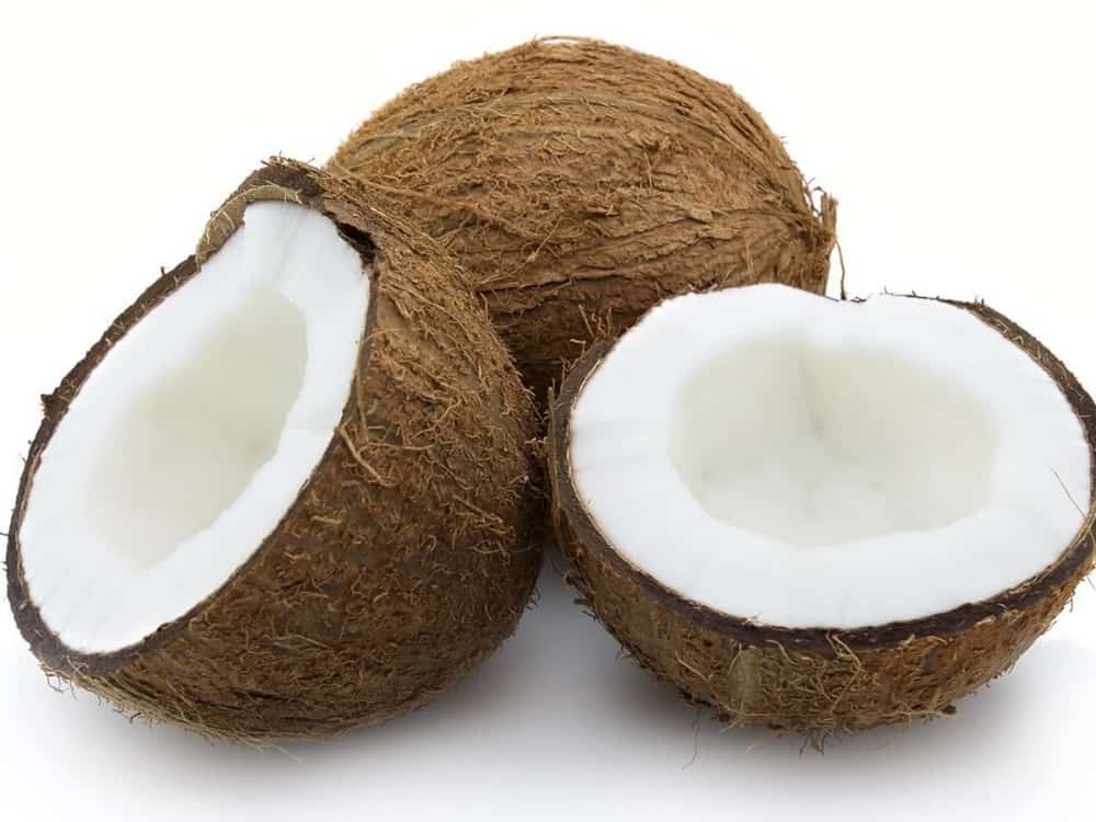 Coconut - फलों के नाम हिंदी और इंग्लिश में