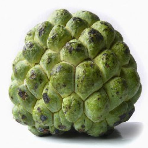 Custard apple - फलों के नाम हिंदी और इंग्लिश में