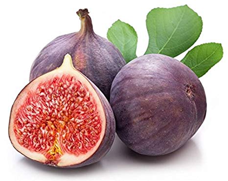 Fig - फलों के नाम हिंदी और इंग्लिश में