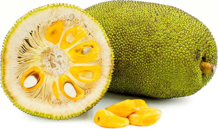 Jackfruit - फलों के नाम हिंदी और इंग्लिश में