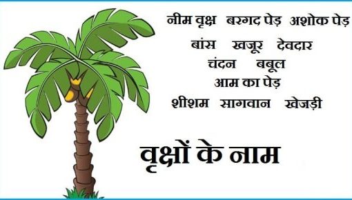 पेड़ों के नाम