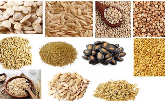 अनाजों के नाम हिंदी में