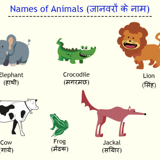 जानवरों के नाम