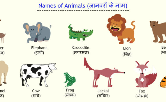 जानवरों के नाम