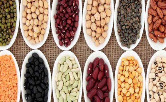 दालों का नाम हिंदी में