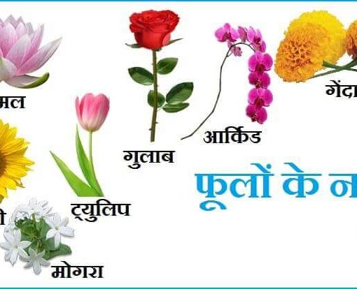 फूलों के नाम