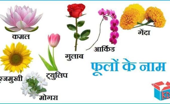 फूलों के नाम