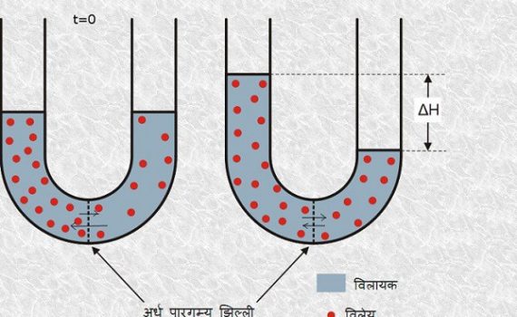 पादप जल संबंध एवं परासरण