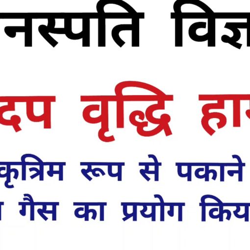 पादप हार्मोन या पादप वृद्धि नियामक