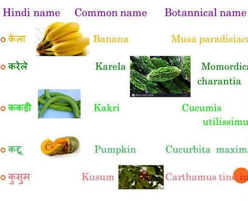 विभिन्न पादपों के वानस्पतिक नाम