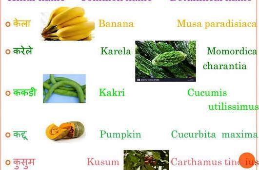 विभिन्न पादपों के वानस्पतिक नाम