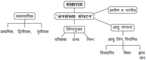 जनसंख्या संघटन 300x124 - जनसंख्या संघटन