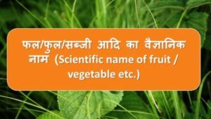 फल फुल सब्जी आदि के वैज्ञानिक नाम 300x169 - फल फुल सब्जी आदि के वैज्ञानिक नाम
