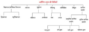 जीवों में जनन 300x108 - जीवों में जनन