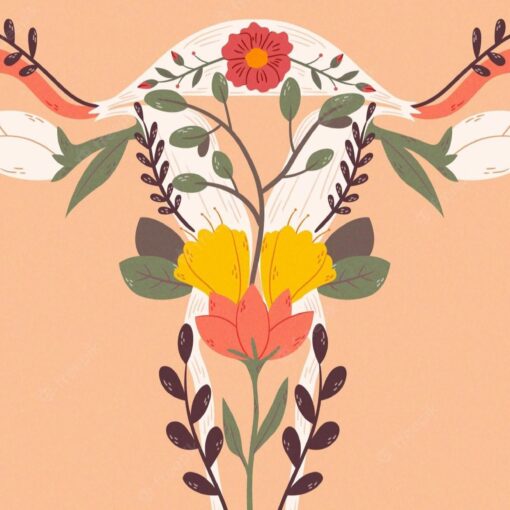 जनन स्वास्थ्य