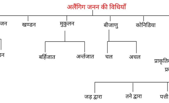 जीवों में जनन