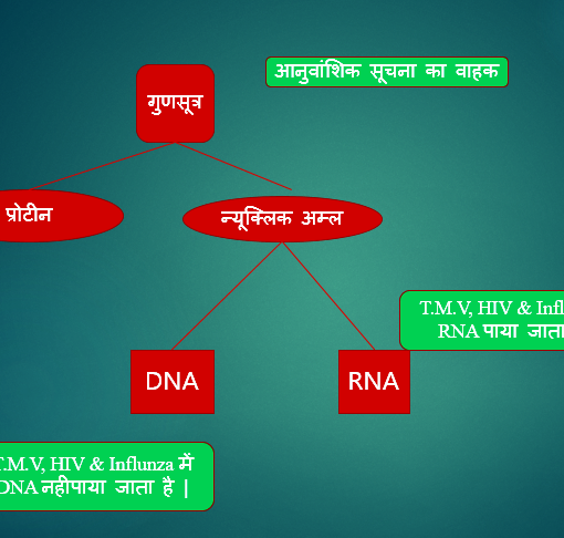 वंशागति का आणविक आधार
